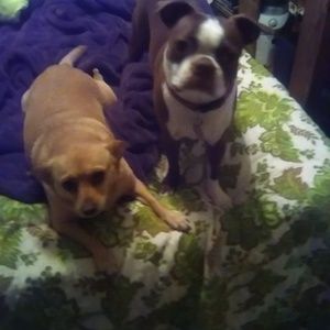 Meet your Posher, Laura